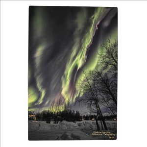 Alaska Gallery Wall Northern Lights Aurora Borealis